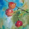 Pomogranate-Painting